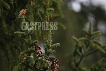 EA340612, Eastpress, Porvoo, Finland